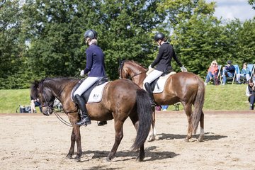 Bild 537 - Pony Akademie Turnier
